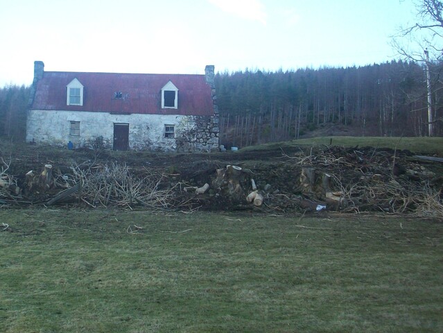 Picture 7.JPG