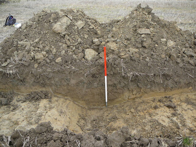 EHG3202_10.JPG