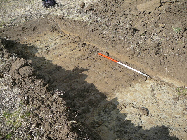 EHG3202_13.JPG