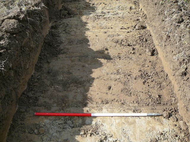 EHG3202_15.JPG