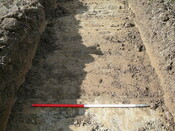 EHG3202_15.JPG