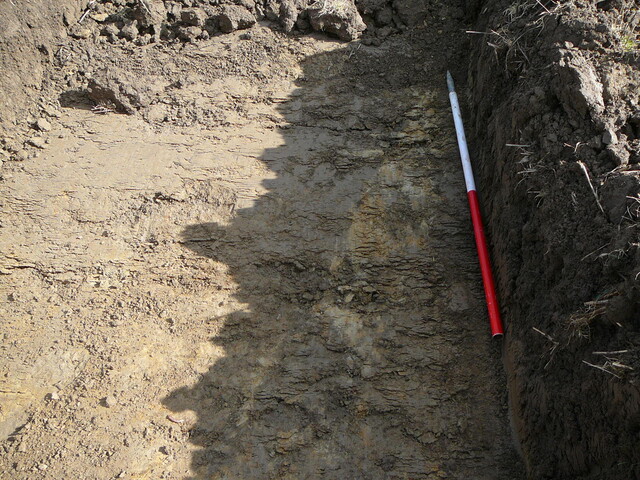 EHG3202_16.JPG