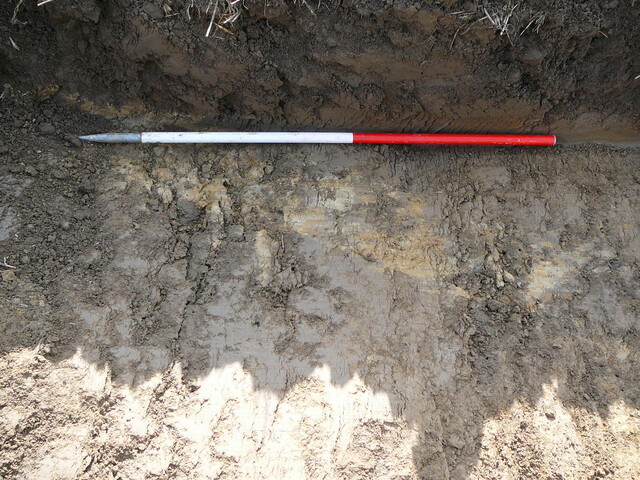 EHG3202_17.JPG