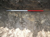 EHG3202_17.JPG