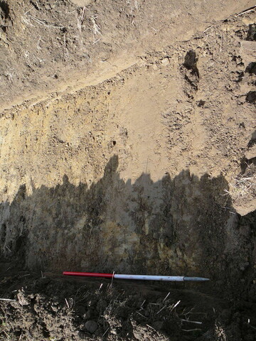 EHG3202_18.JPG
