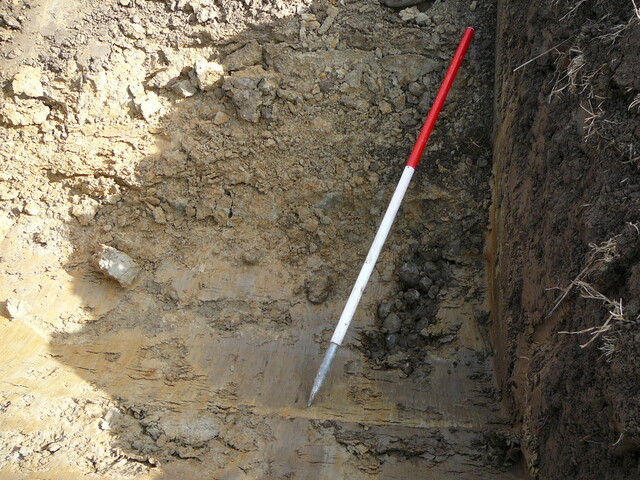 EHG3202_19.JPG