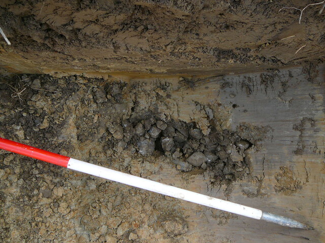 EHG3202_20.JPG