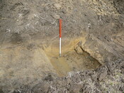 EHG3202_24.JPG
