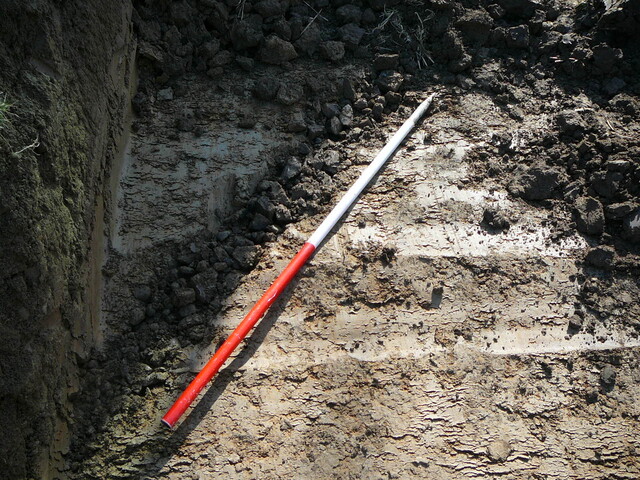 EHG3202_27.JPG
