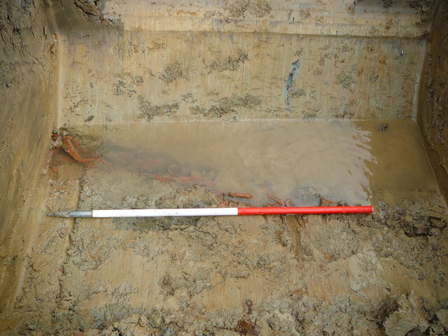 EHG3202_05.JPG