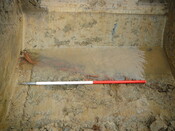 EHG3202_05.JPG
