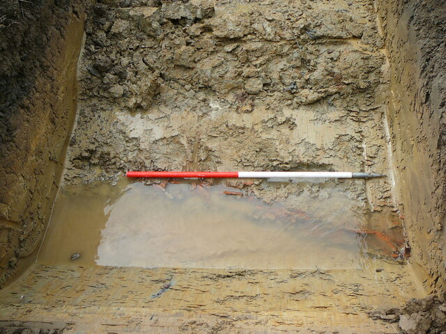 EHG3202_06.JPG