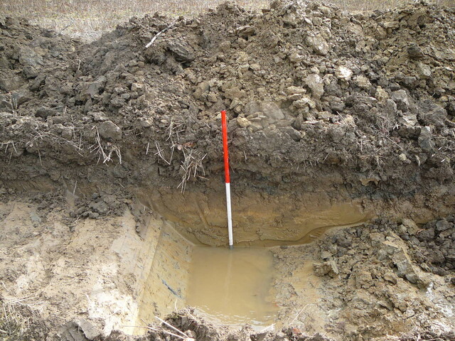 EHG3202_07.JPG