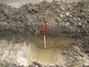 EHG3202_07.JPG