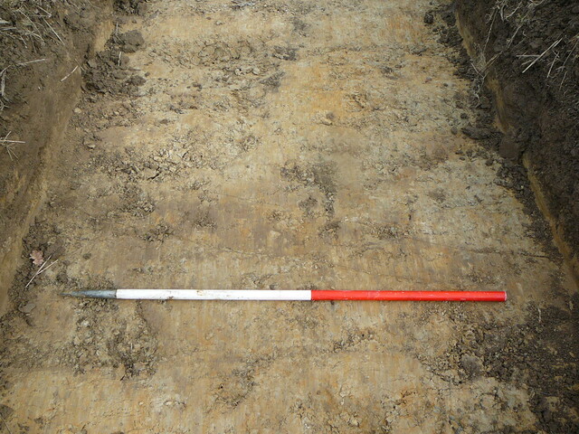 EHG3202_08.JPG