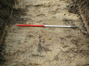 EHG3202_09.JPG