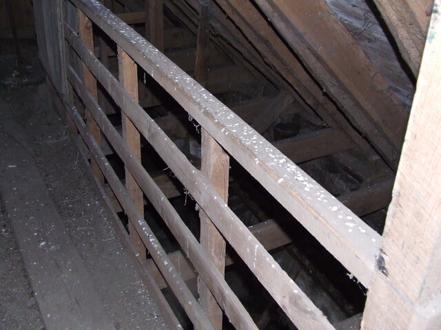 EHG5154_21.JPG