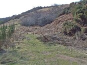 building partly under brushwood (600 x 450).jpg