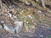 collapsed retaining wall (600 x 450).jpg