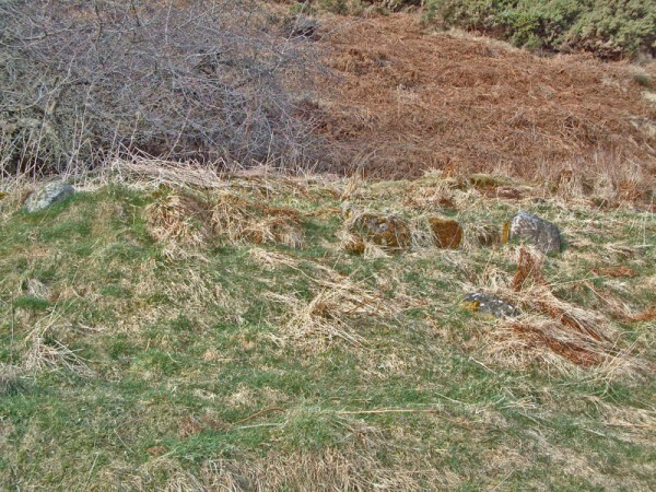 south facing wall (600 x 450).jpg