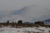 JMBriscoeEOS400DIMG001146-03_03_2010-15_51_17.JPG