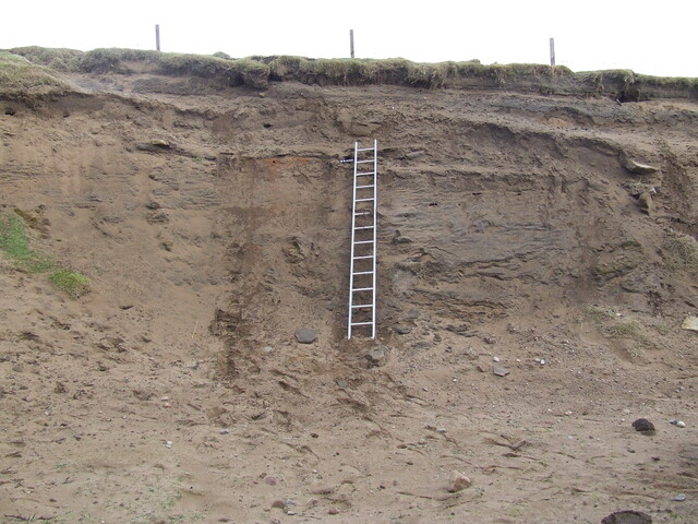 DSCF1763.JPG