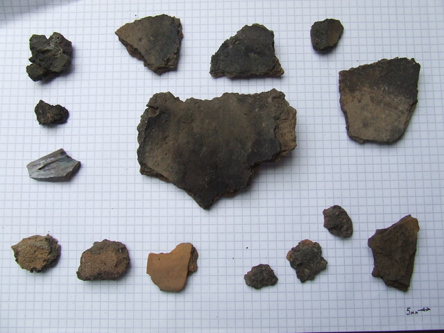 DSCF1510.JPG