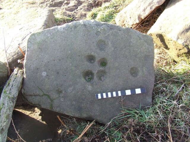 DSCF1758.JPG
