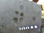 DSCF1757.JPG