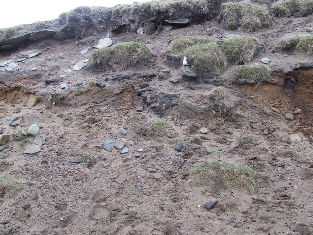 DSCF1750.JPG