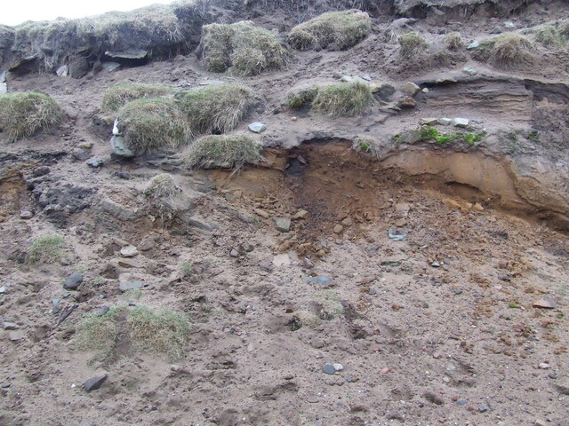 DSCF1749.JPG