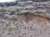 DSCF1749.JPG