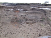 DSCF1744.JPG