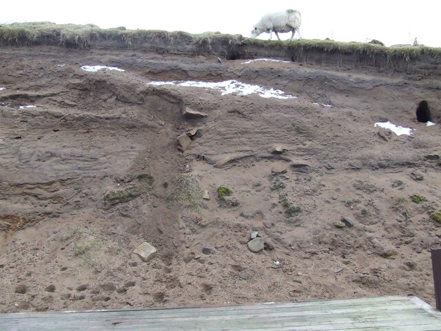 DSCF1743.JPG