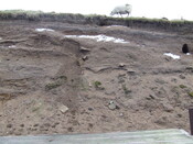 DSCF1743.JPG