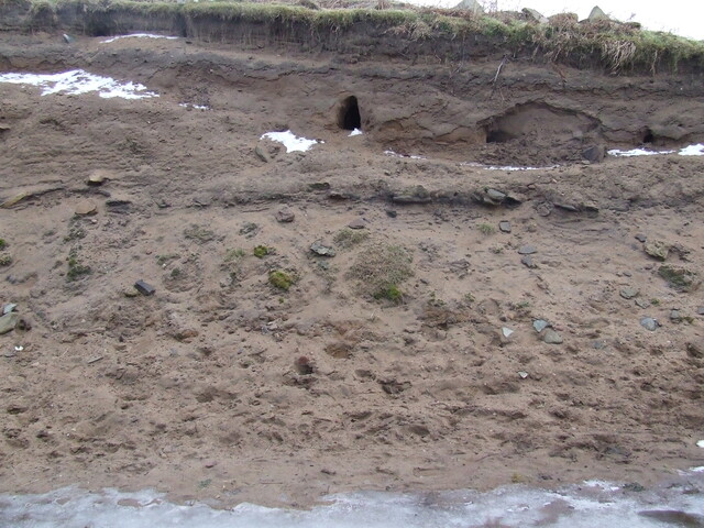 DSCF1742.JPG