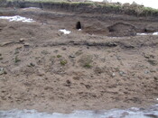 DSCF1742.JPG