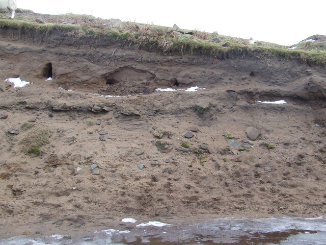 DSCF1741.JPG