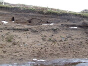 DSCF1741.JPG