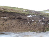 DSCF1740.JPG