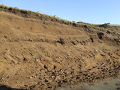 DSCF1211.JPG