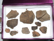 DSCF1664.JPG