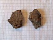 DSCF1651.JPG