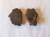 DSCF1650.JPG