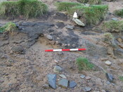 DSCF1628.JPG