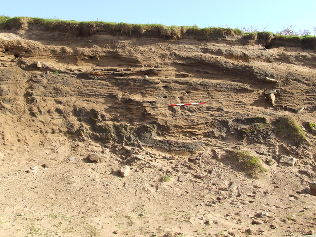 DSCF1552.JPG