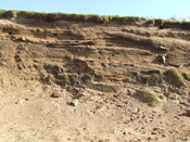 DSCF1552.JPG