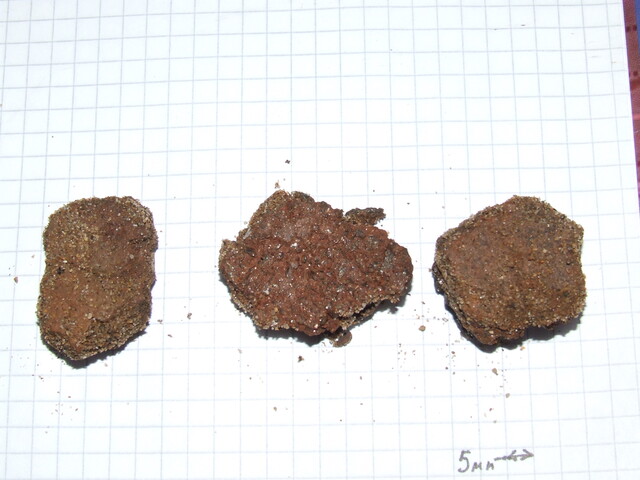 DSCF1549.JPG