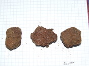 DSCF1549.JPG