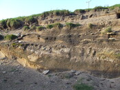 DSCF1545.JPG